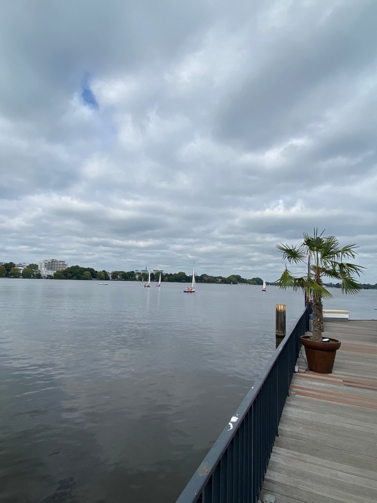 ПЕРЕВОДЧИК В ГАМБУРГЕ - АЛЬСТЕР