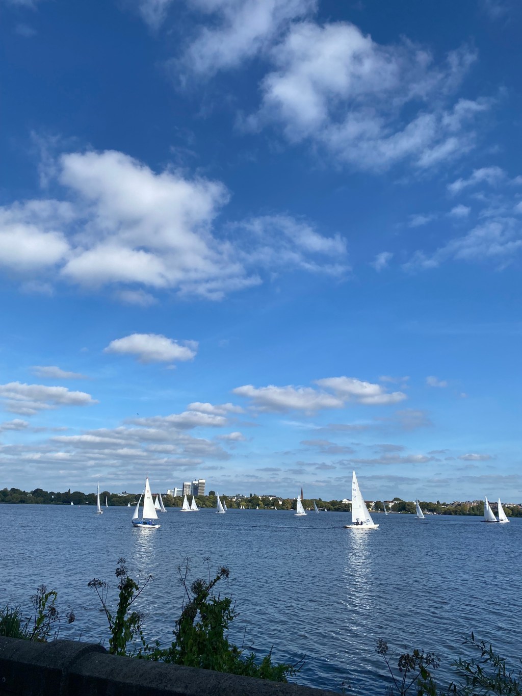 ПЕРЕВОДЧИК в Гамбурге. Любимые места Гамбурга. Альстер&nbsp;(Alster)