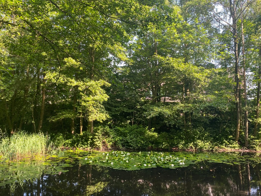 ПЕРЕВОДЧИК в НОРДЕРШТЕДТ (NORDERSTEDT) 