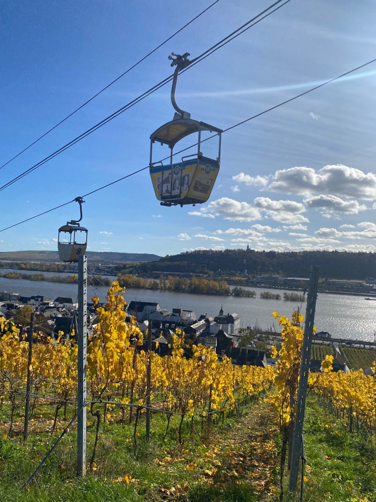 Перевод и сопровождение в винных турах Рейнгау