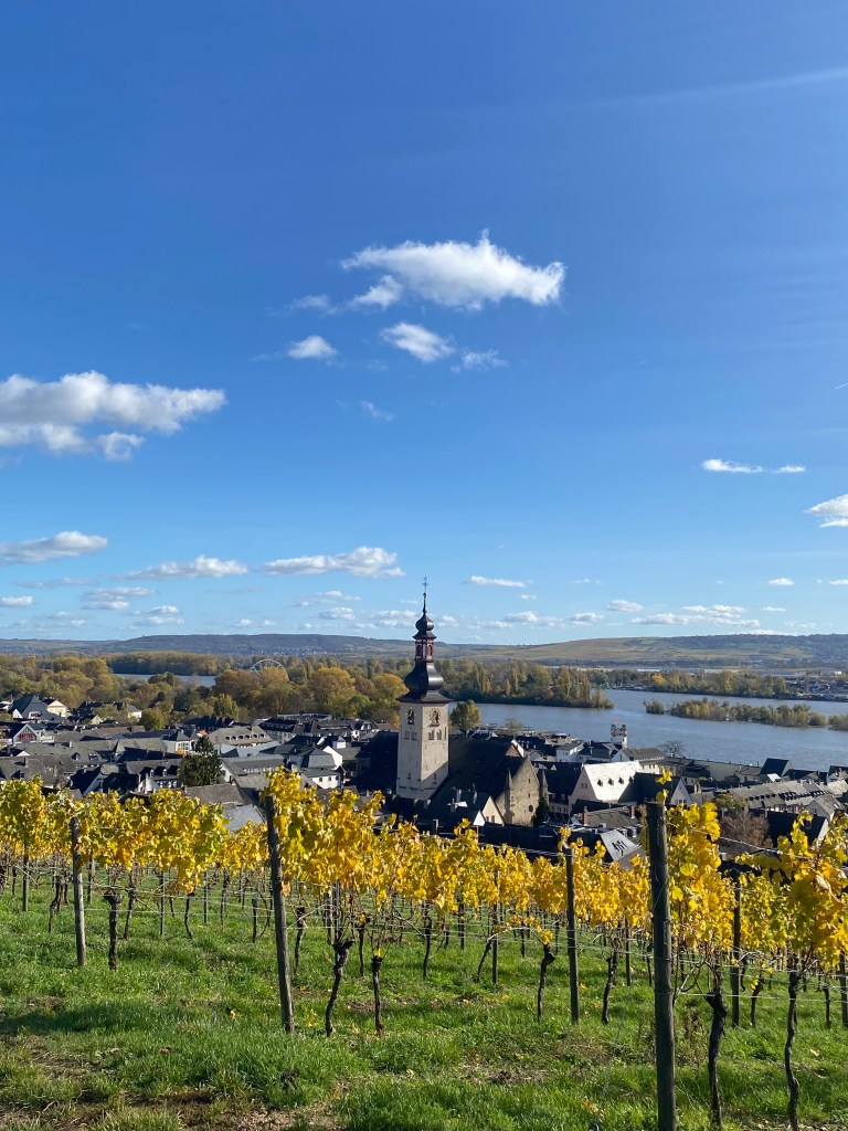 Перевод и сопровождение в винных турах Рейнгау